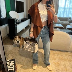 Brown Vest Transformer